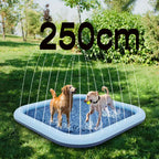 Hundleksak med vattenspridare och pool